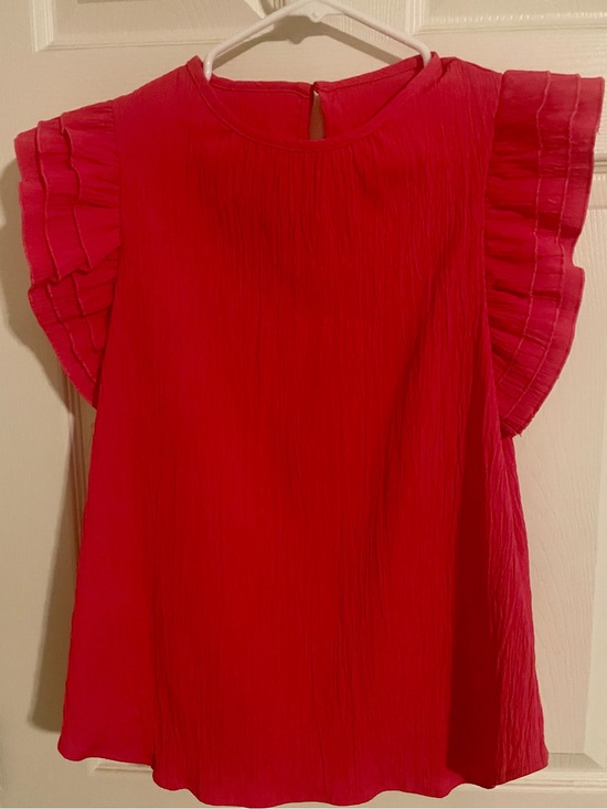 Tops - Ruffled Sleeve Pink Blouse